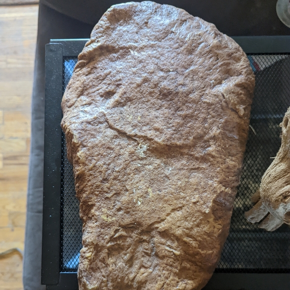Heat rock for reptile